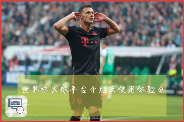世界杯买球平台介绍及使用体验分享