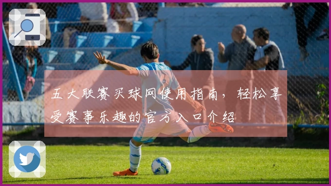 五大联赛买球网使用指南，轻松享受赛事乐趣的官方入口介绍