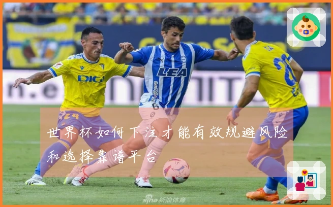 世界杯如何下注才能有效规避风险和选择靠谱平台
