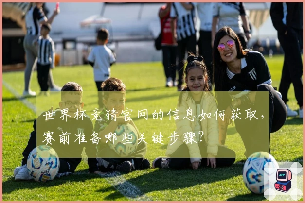 世界杯竞猜官网的信息如何获取，赛前准备哪些关键步骤？