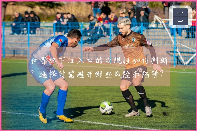 世界杯下注入口的合规性如何判断?选择时需避开哪些风险和陷阱?