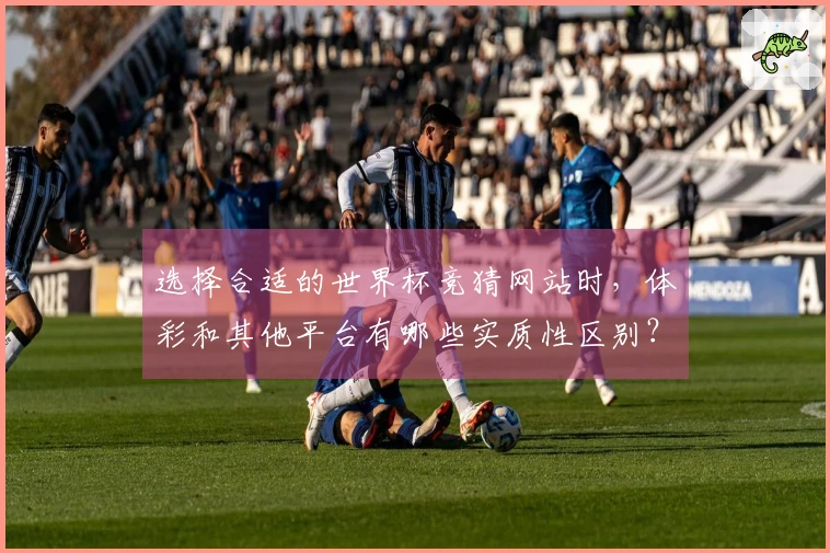 选择合适的世界杯竞猜网站时，体彩和其他平台有哪些实质性区别？