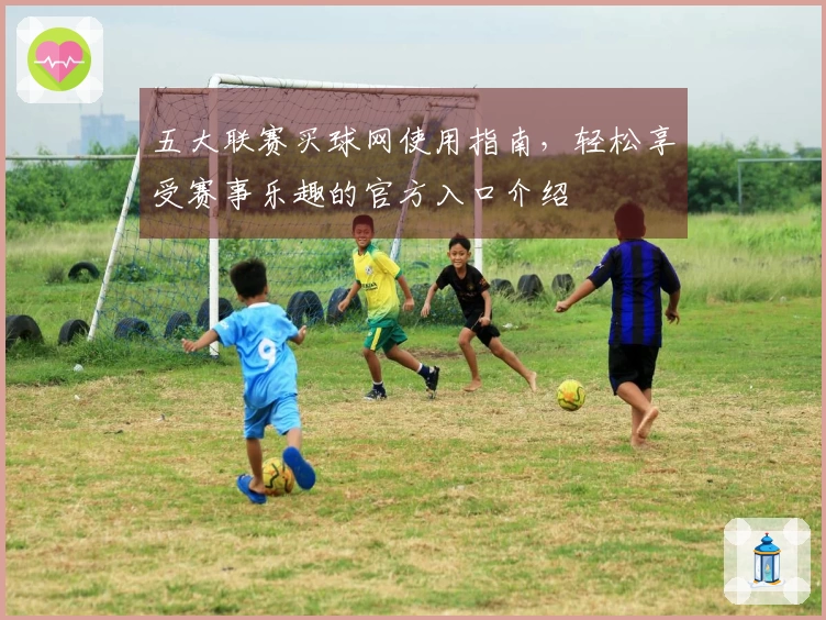 五大联赛买球网使用指南，轻松享受赛事乐趣的官方入口介绍