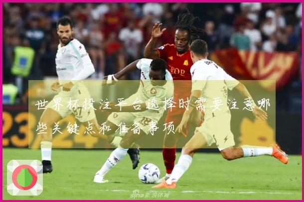 世界杯投注平台选择时需要注意哪些关键点和准备事项