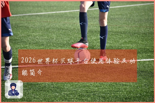 2026世界杯买球平台使用体验及功能简介