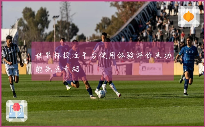 世界杯投注平台使用体验评价及功能亮点介绍