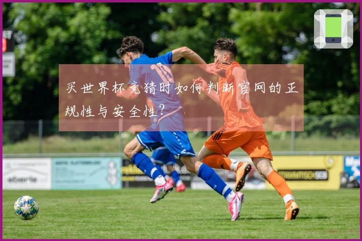 买世界杯竞猜时如何判断官网的正规性与安全性?