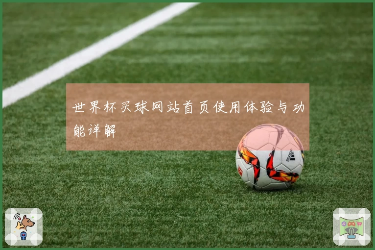 世界杯买球网站首页使用体验与功能详解