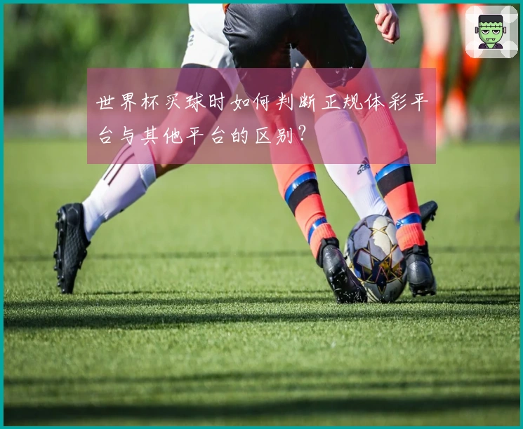 世界杯买球时如何判断正规体彩平台与其他平台的区别？