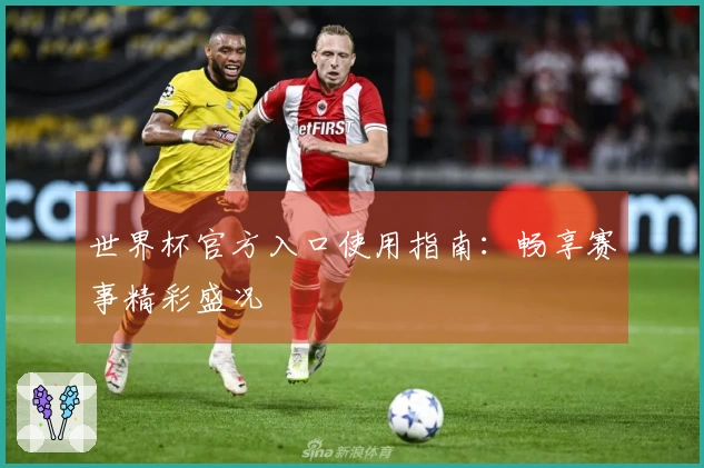 世界杯官方入口使用指南：畅享赛事精彩盛况