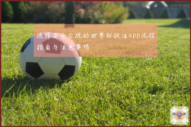 选择安全合规的世界杯投注app流程指南与注意事项
