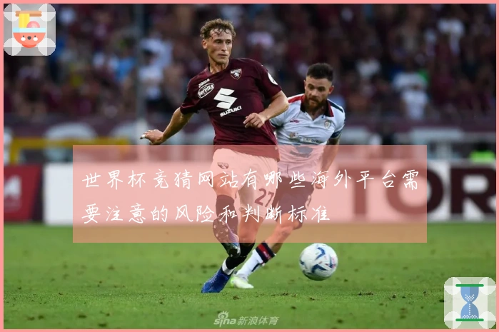世界杯竞猜网站有哪些海外平台需要注意的风险和判断标准