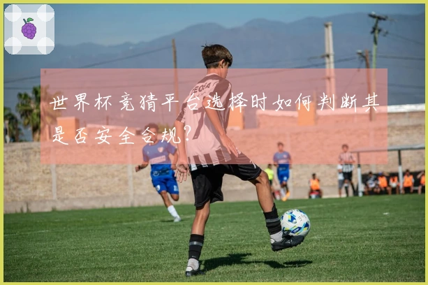 世界杯竞猜平台选择时如何判断其是否安全合规?