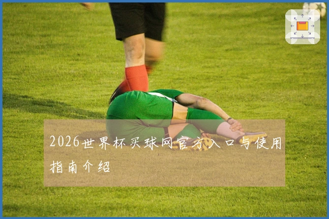 2026世界杯买球网官方入口与使用指南介绍