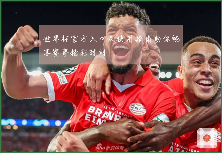 世界杯官方入口及使用指南助你畅享赛事精彩时刻