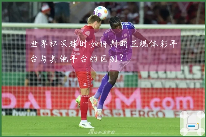 世界杯买球时如何判断正规体彩平台与其他平台的区别？