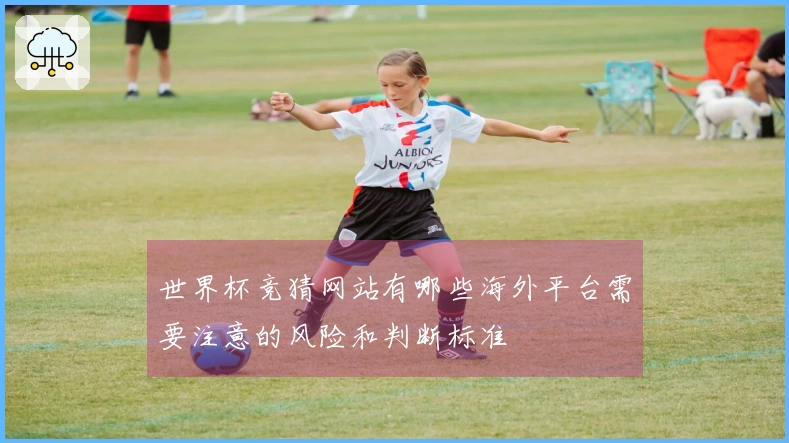 世界杯竞猜网站有哪些海外平台需要注意的风险和判断标准