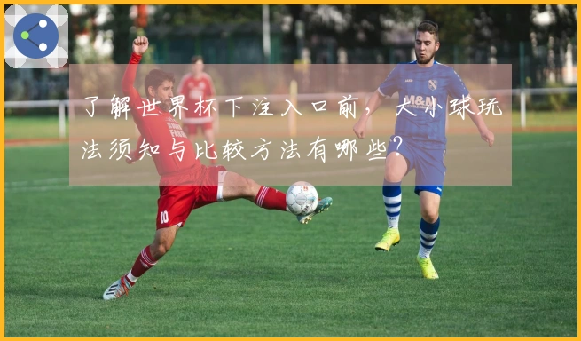 了解世界杯下注入口前,大小球玩法须知与比较方法有哪些?