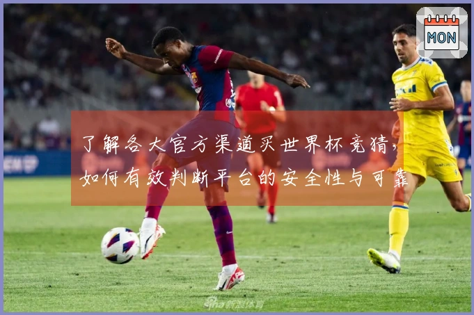 了解各大官方渠道买世界杯竞猜，如何有效判断平台的安全性与可靠性